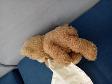 Peek a Boo Teddy Bear Play Hide And Seek bear Lovely Cartoon Stuffed Bear Cute soft Music Plush Toy